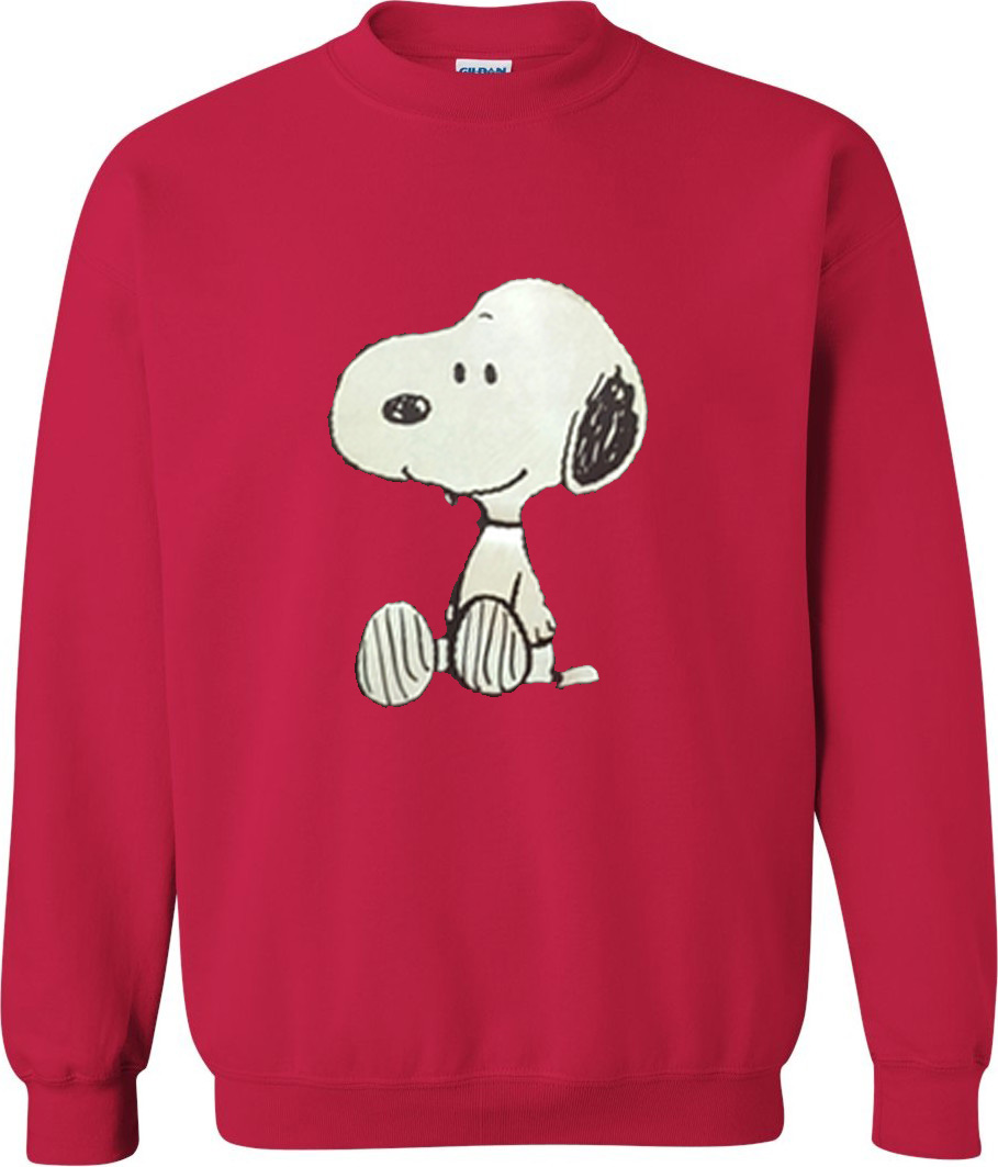 snoopy kaws sweater